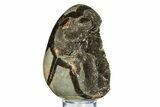 Septarian Dragon Egg Geode - Sparkly Black Crystals #308821-1